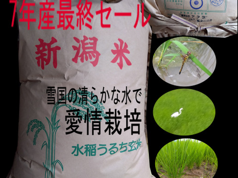 【玄米30Kg紙袋入りを専用箱でお届け】【令7年産残り3袋限定最終セール】コシヒカリ新潟秋山農場産「Riki-Saku」農薬を減らしてイネを健康に育てました 🏆食べチョクお米グランプリ2025銀賞