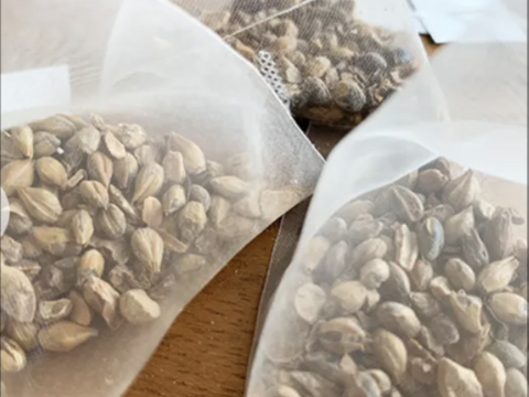 生活習慣病の予防に！ノンカフェイン！　完全オーガニック　菊芋麦茶 5g×12包入り ２袋セット【送料無料】