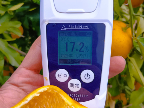 【新品種/超希少】とっても甘いグレープフルーツ2kg（８個前後）　和歌山県産　サイズ混合　農薬節減