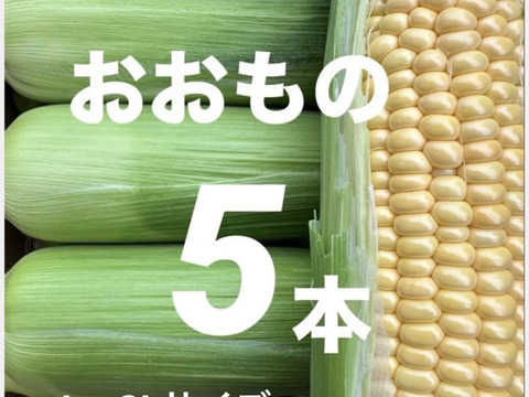 朝採り即日発送】高糖度コーン「おおもの」市場規格2Lサイズ(400g前後