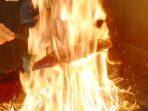 B1セット船上急速凍結　鮮度一番！2ブロック x 各2ブロック（合計4ブロック)