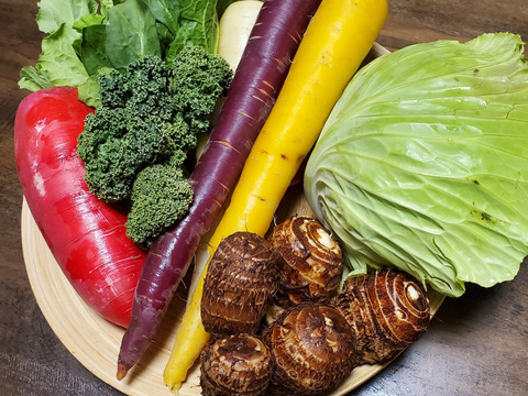 テーマは『優しさ』旬の野菜セット(野菜7種類以上)農薬・化学肥料不使用