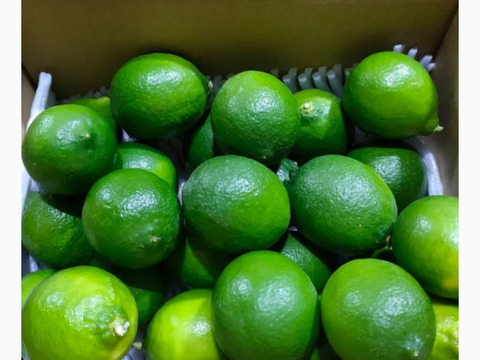 グリーンライム