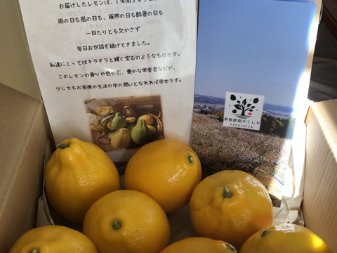 何でも揃う 皮まで安心！見て良し！食べて良し！丸ごと使えるマイヤーレモン 果物