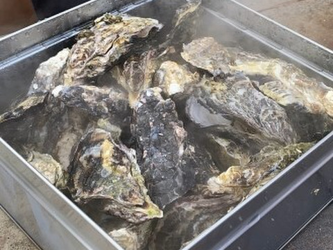 【冷凍かき】三重県産 加熱用 浦村かき カンカン焼き（ 1缶に約50個入り）BBQ バーベキュー 海鮮 牡蠣