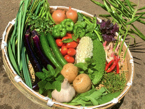 〜8月編〜
1日5箱限定❗️ 夏の野菜セット♪【5品目以上】お試し60サイズ