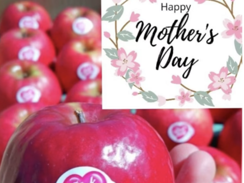 【母の日ギフト】ピンクレディー™ 3kg箱｜ありがとうを贈る大人のりんご（カード付）