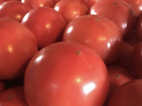 期間限定　訳あり夏の高原完熟トマト
4〜5キロ　20〜30個　B品　美味しさそのまま