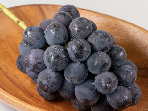 z23 大阪クール便　8房ぶどう　巨峰 種無し　猛暑日にぴったり z23 大阪クール便 8房ぶどう 巨峰 種無し 猛暑日にぴったり