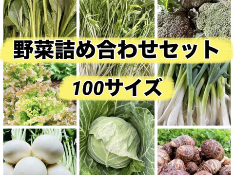 27日金曜日発送‼️新鮮お野菜セット✨