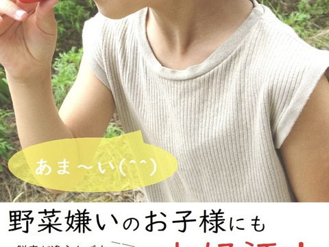 お任せ夏野菜4〜7品目　60サイズ