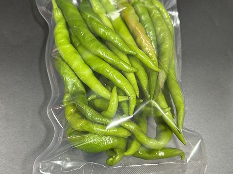 【冷凍唐辛子】初心者お勧めの辛さ！魔女の杖（約150g）農薬・化学肥料不使用