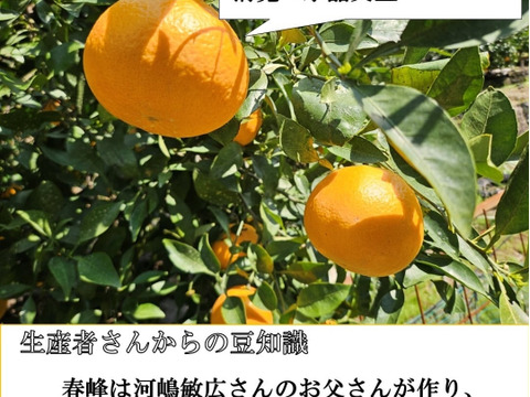 【本家・春峰】春を呼ぶプチプチ食感！爽やかな甘さがクセになる