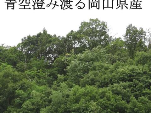 お任せ夏野菜4〜7品目　60サイズ