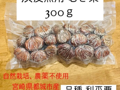 【鬼皮剥き栗】農薬不使用・低温熟成】渋皮煮に最適♪しぶ皮栗300ｇ（利平栗）