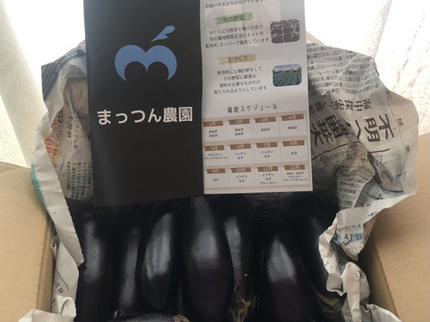 常温便【煮て焼いて、揚げて良し！】今が旬！中長ナス　2kg