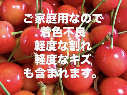 ‼️特別超特価‼️双子ちゃん入ってるかも…⭐️【朝どれ】《佐藤錦》さくらんぼ 山形県東根産 1kg ミックスサイズ　訳あり品