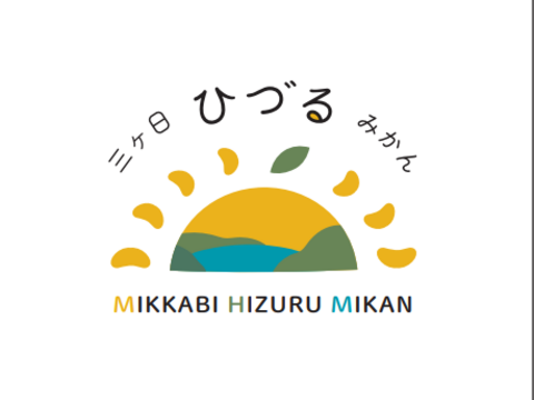 蔵出し熟成！青島（三ヶ日ひづる）みかん4㎏（２L、L、M）サイズ混合