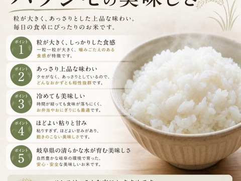希少なブランド米    岐阜ハツシモ  
令和7年産  白米 10Kg 🍚