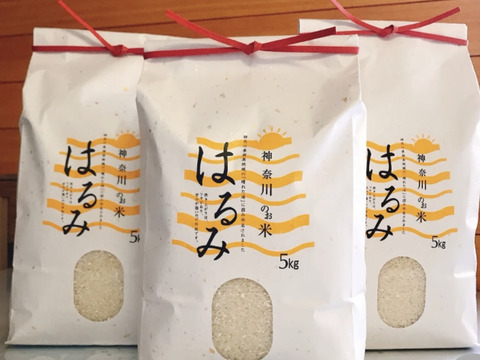 【お米セット】白もち麦とお米5kg