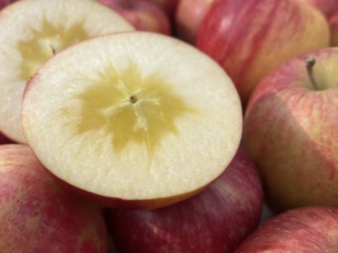 《予約商品》1月中旬～ 訳あり 極小玉 サンふじ 5キロ箱 23～25玉