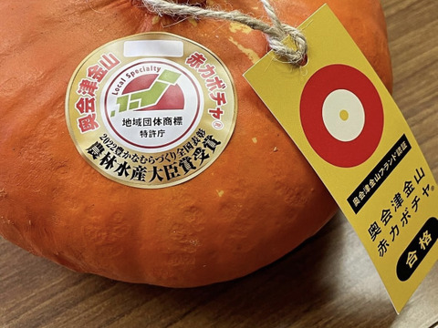 【先行予約開始】幻の奥会津金山赤カボチャ『合格おまかせ』2〜３個入り4kg