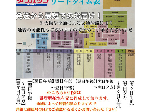 カラダが喜ぶ!!旬のお野菜セット7~8種類【おまかせ60】
