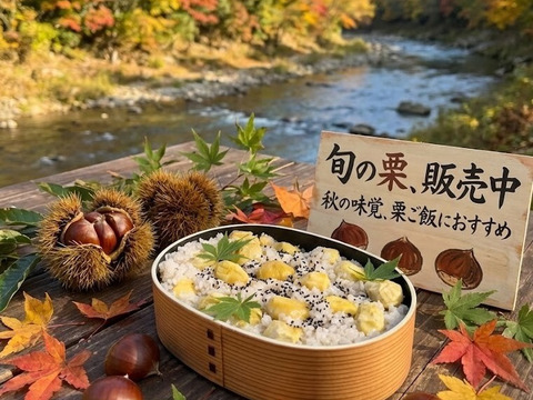 秋の味覚】茨城県産 栗の王様「利平栗」4L以上・1kg 甘さ濃厚
