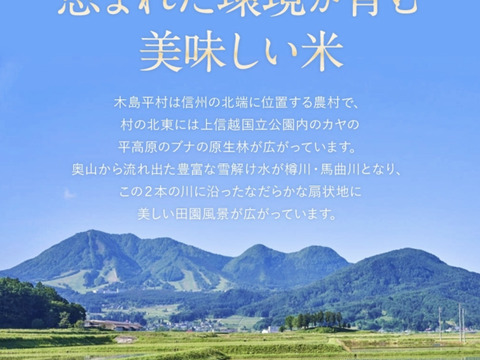 新米！【令和7年産】長野県木島平産コシヒカリ白米5kg：長野県産のお米