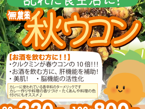 乱れた食生活に！ 秋ウコン20g(栽培期間中農薬不使用)：福岡県産
