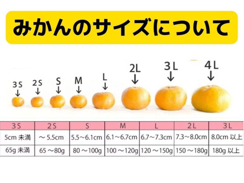 【コスパ最高みかん】訳あり 極早生みかん 10kg！ジューシーで甘酸っぱい初物みかん★