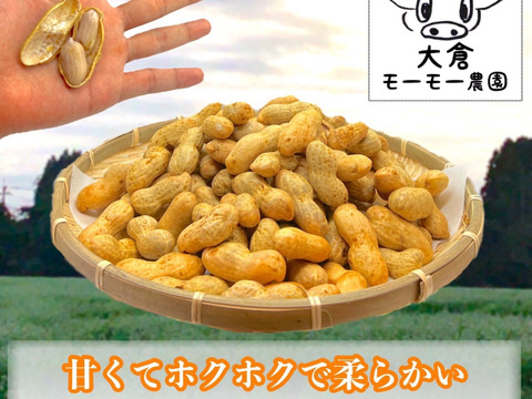【おおまさりネオ】千葉県産　生落花生！極大粒で3Kg　新豆2025年収穫