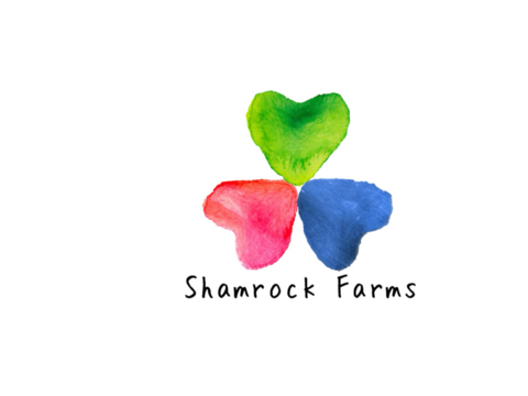 贈答用岡山県産さちのか➕岡山県ブランド品種晴苺