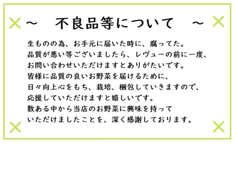 お任せ夏野菜4〜7品目　60サイズ