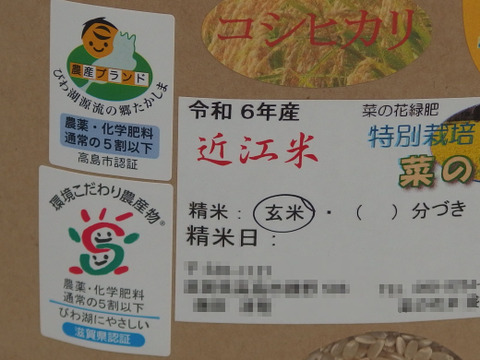 令和6年新米✣満開の菜の花が育てた菜の花米✣近江米コシヒカリ✣環境こだわり米✣玄米5kg