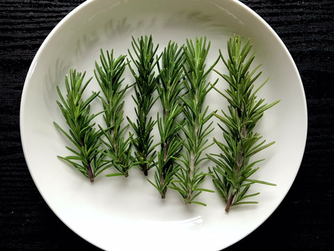 春の選べるフレッシュハーブ5種詰め合わせ ローズマリー レモンタイム マジョラム スペアミント コリアンダー セルバチカ ローズ ゼラニウム チャイブから5種類チョイス 和歌山県産 食べチョク 農家 漁師の産直ネット通販 旬の食材を生産者直送