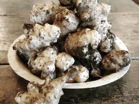 【スーパーフード/自然栽培】皮ごと食べれちゃう！藤沢産きくいも！！　生の菊芋1ｋｇ