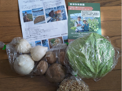 【自然栽培】4品目お試し旬のお野菜セット