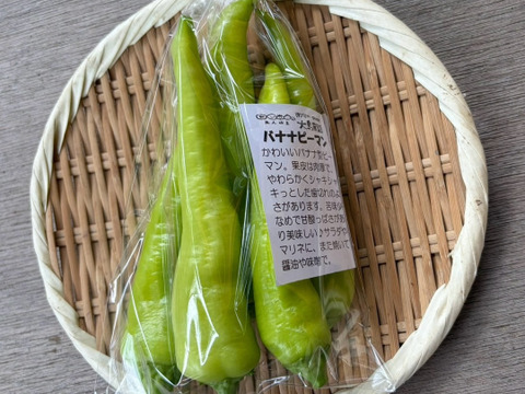 肉厚シャキシャキ！バナナピーマン 1袋 (約100g)