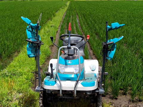 【令和7年新米】特別栽培米つや姫玄米5kg【冬ギフト】