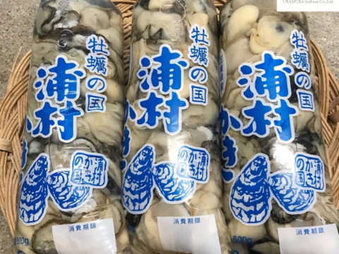 牡蠣好き歓喜の20%増量中！（500g）×3袋 【生牡蠣】【生食用】三重県産 浦村かき むき身 牡蠣 総重量1.5キロ
生で食べれる衛生的な牡蠣です。 お歳暮 熨斗 新年会 女子会 母の日ギフト