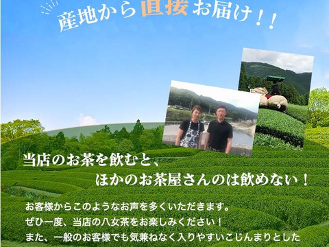 【2025年】八女茶人気の深蒸し煎茶100ｇ2本セット♡