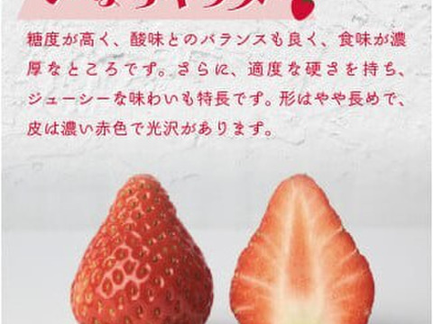 【いばらキッス】茨城県オリジナル品種 ４パック×１箱