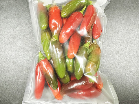 【訳あり】【冷凍唐辛子】辛いけどウマい！ちょうどいい辛さの国産ハラペーニョ（総量200g）農薬・化学肥料不使用