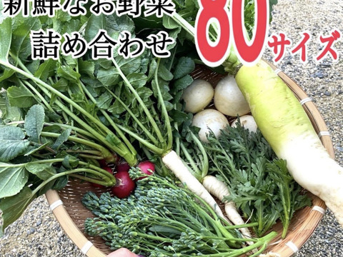 農薬不使用の野菜詰め合わせを80サイズでお届け