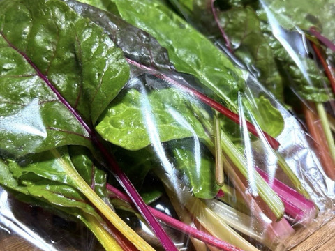 彩り鮮やかスイスチャード　130g×6個セット