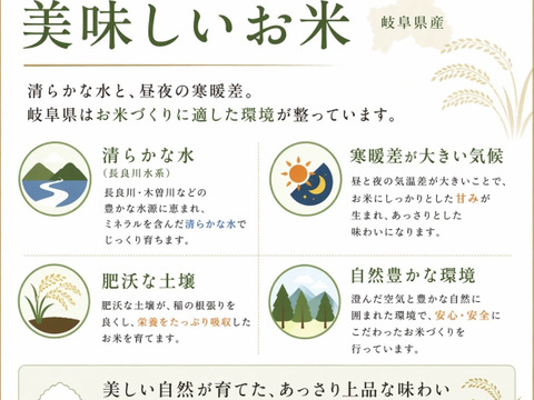 自家生産でこだわりあり！岐阜 ハツシモ 令和7年産  30キロ　玄米🌾