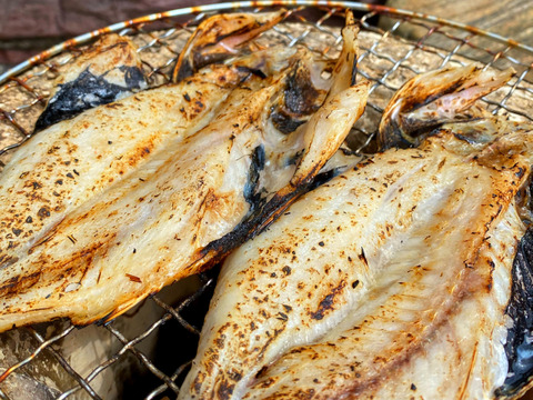 高級魚★ノドグロ(ユメカサゴ)の干物4P(4〜8尾)【未利用魚】