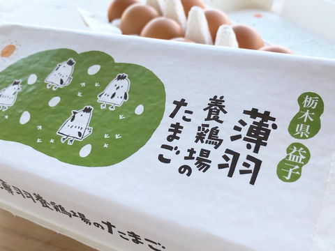 【福袋】たまごセット