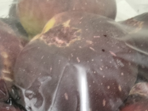 大容量パック　兵庫産 ご家庭用　イチジク　800ｇ